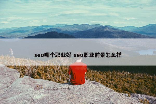 seo哪个职业好 seo职业前景怎么样