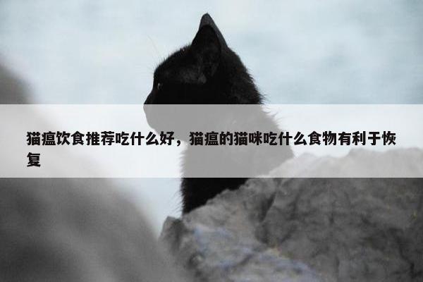 猫瘟饮食推荐吃什么好，猫瘟的猫咪吃什么食物有利于恢复