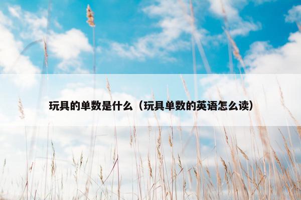 玩具的单数是什么（玩具单数的英语怎么读）