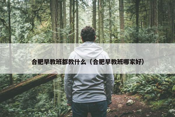 合肥早教班都教什么（合肥早教班哪家好）