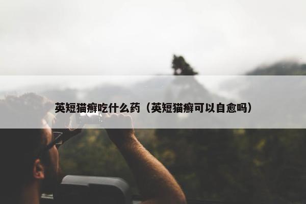 英短猫癣吃什么药（英短猫癣可以自愈吗）