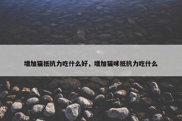 增加猫抵抗力吃什么好，增加猫咪抵抗力吃什么