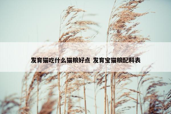 发育猫吃什么猫粮好点 发育宝猫粮配料表