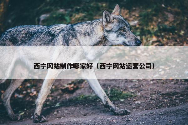 西宁网站制作哪家好（西宁网站运营公司）