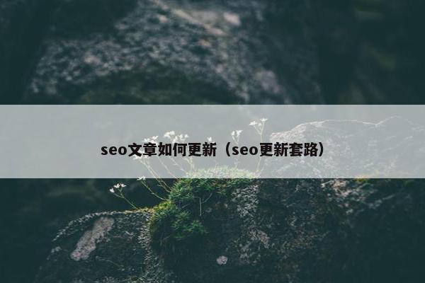 seo文章如何更新（seo更新套路）