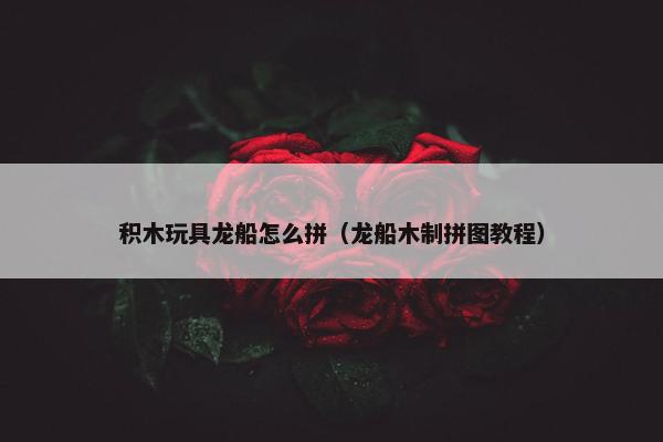 积木玩具龙船怎么拼（龙船木制拼图教程）