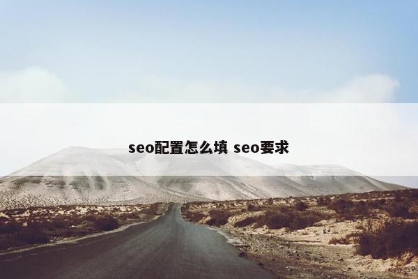 seo配置怎么填 seo要求