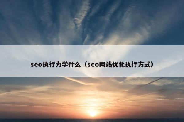 seo执行力学什么（seo网站优化执行方式）