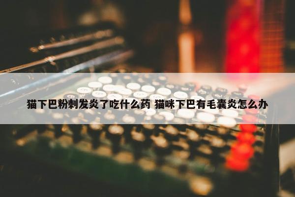 猫下巴粉刺发炎了吃什么药 猫咪下巴有毛囊炎怎么办