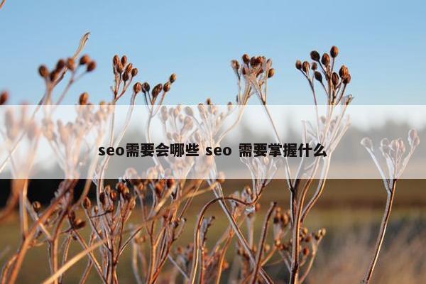 seo需要会哪些 seo 需要掌握什么