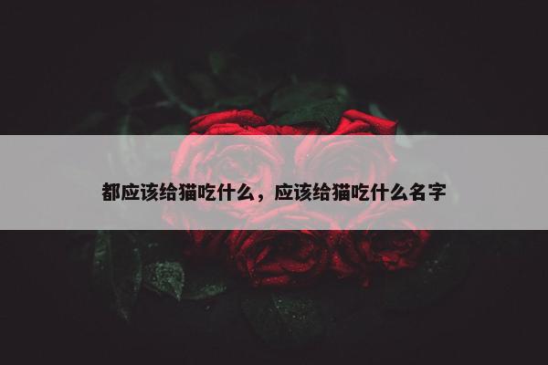 都应该给猫吃什么，应该给猫吃什么名字