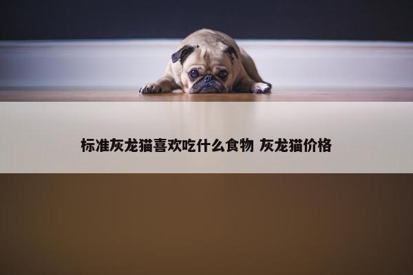 标准灰龙猫喜欢吃什么食物 灰龙猫价格