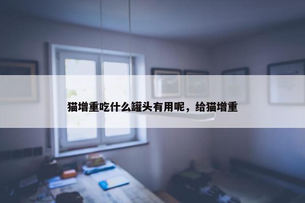 猫增重吃什么罐头有用呢，给猫增重