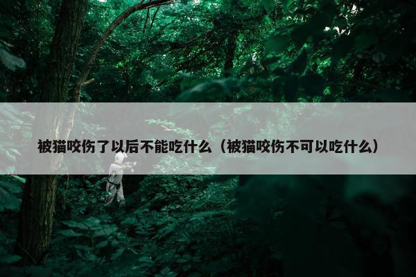 被猫咬伤了以后不能吃什么（被猫咬伤不可以吃什么）