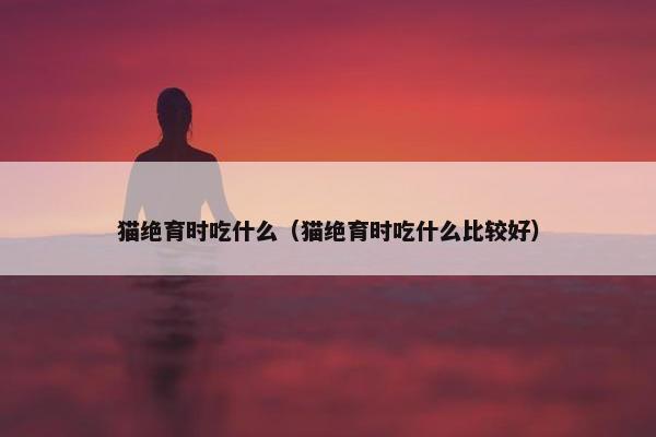 猫绝育时吃什么（猫绝育时吃什么比较好）