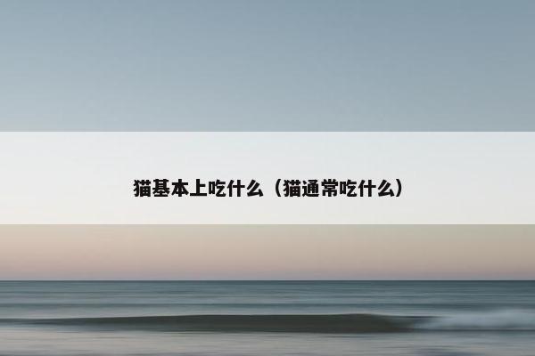 猫基本上吃什么（猫通常吃什么）