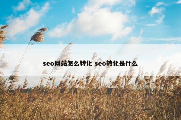 seo网站怎么转化 seo转化是什么