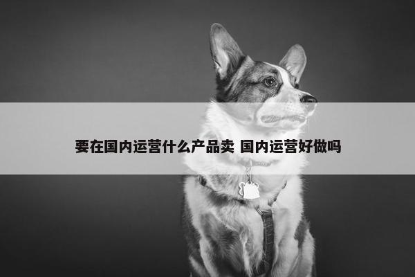 要在国内运营什么产品卖 国内运营好做吗