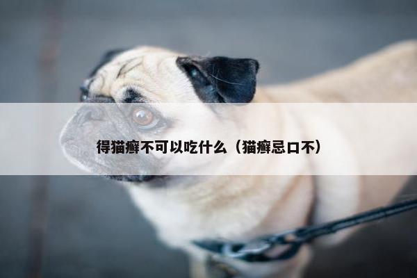 得猫癣不可以吃什么（猫癣忌口不）