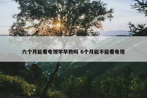 六个月能看电视学早教吗 6个月能不能看电视