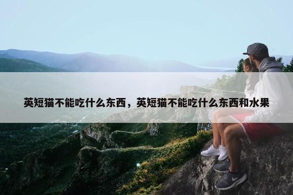 英短猫不能吃什么东西，英短猫不能吃什么东西和水果