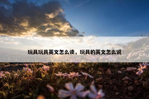 玩具玩具英文怎么读，玩具的英文怎么说