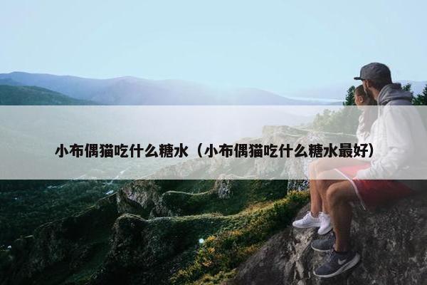 小布偶猫吃什么糖水（小布偶猫吃什么糖水最好）