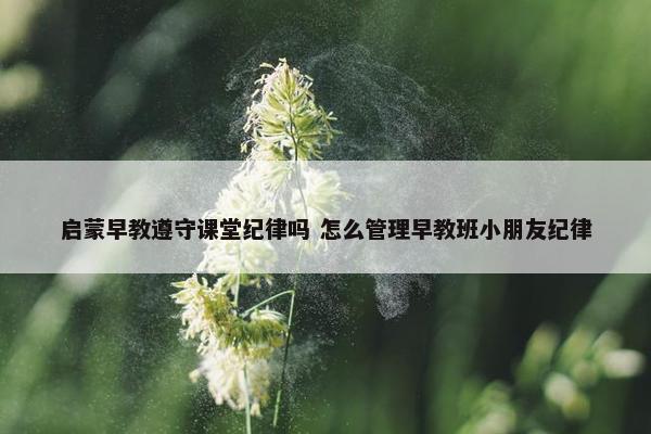 启蒙早教遵守课堂纪律吗 怎么管理早教班小朋友纪律