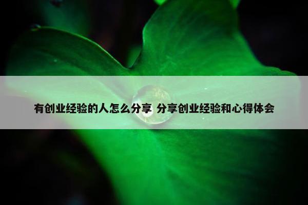 有创业经验的人怎么分享 分享创业经验和心得体会