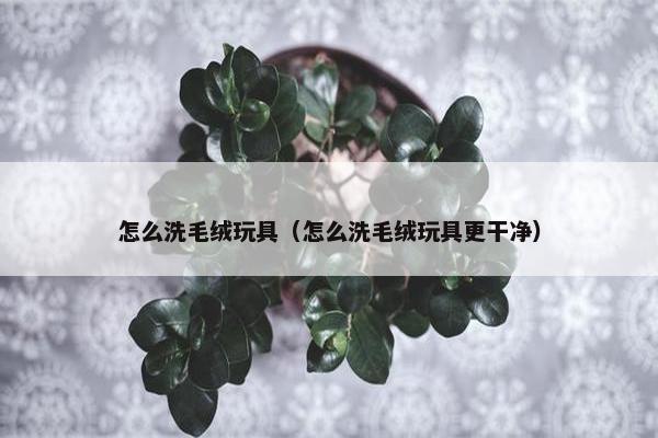 怎么洗毛绒玩具（怎么洗毛绒玩具更干净）