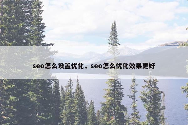 seo怎么设置优化，seo怎么优化效果更好