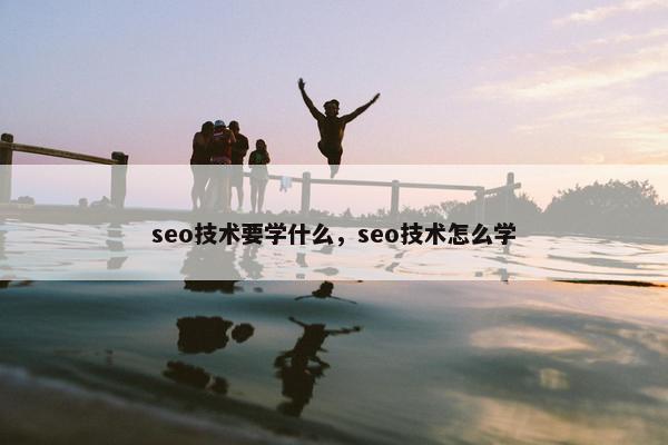 seo技术要学什么，seo技术怎么学