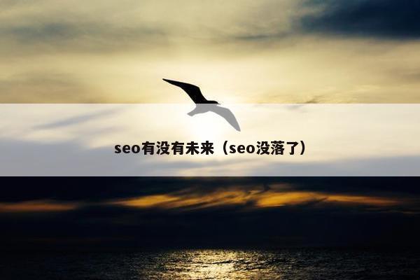 seo有没有未来（seo没落了）