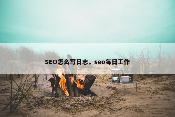 SEO怎么写日志，seo每日工作