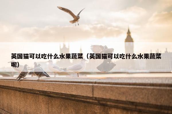 英国猫可以吃什么水果蔬菜（英国猫可以吃什么水果蔬菜呢）