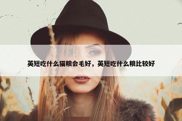 英短吃什么猫粮会毛好，英短吃什么粮比较好