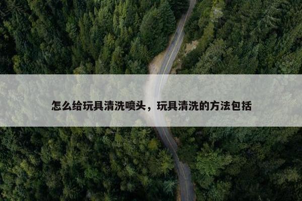 怎么给玩具清洗喷头，玩具清洗的方法包括