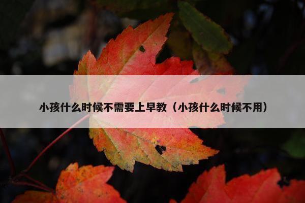 小孩什么时候不需要上早教（小孩什么时候不用）