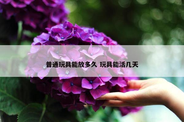 普通玩具能放多久 玩具能活几天