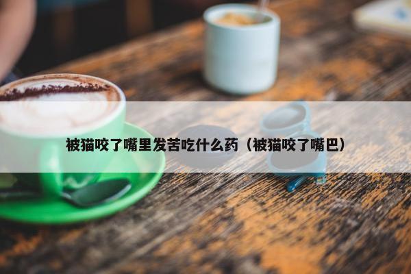 被猫咬了嘴里发苦吃什么药（被猫咬了嘴巴）