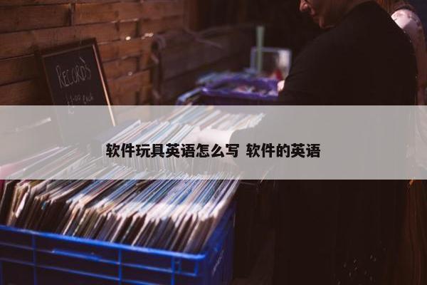 软件玩具英语怎么写 软件的英语