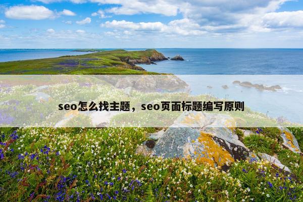 seo怎么找主题，seo页面标题编写原则