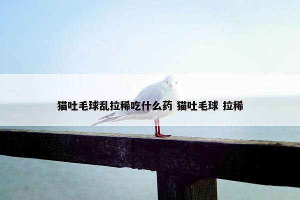 猫吐毛球乱拉稀吃什么药 猫吐毛球 拉稀