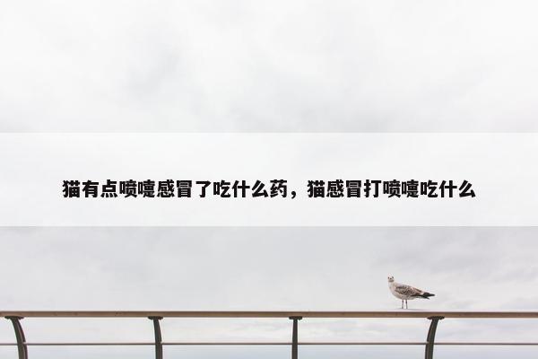 猫有点喷嚏感冒了吃什么药，猫感冒打喷嚏吃什么