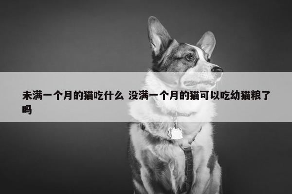 未满一个月的猫吃什么 没满一个月的猫可以吃幼猫粮了吗