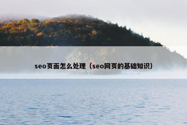 seo页面怎么处理（seo网页的基础知识）