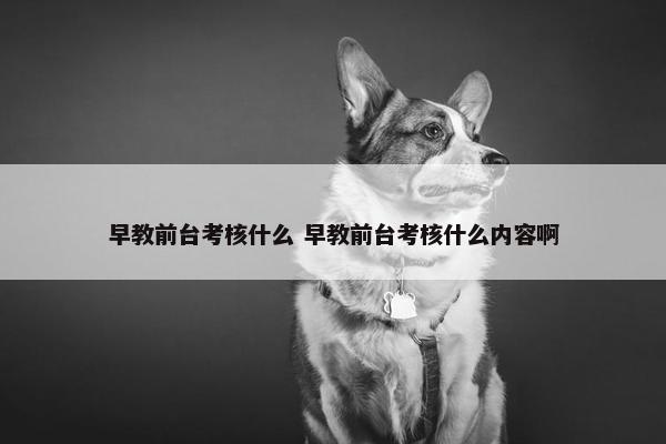 早教前台考核什么 早教前台考核什么内容啊