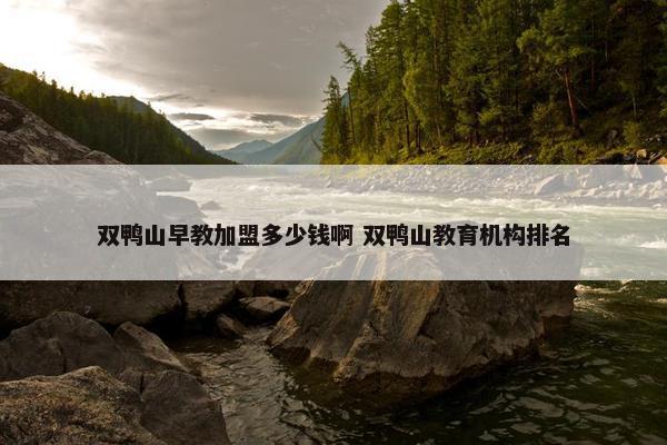 双鸭山早教加盟多少钱啊 双鸭山教育机构排名