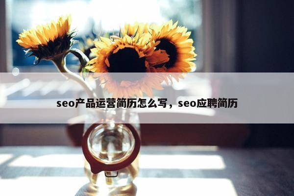 seo产品运营简历怎么写，seo应聘简历