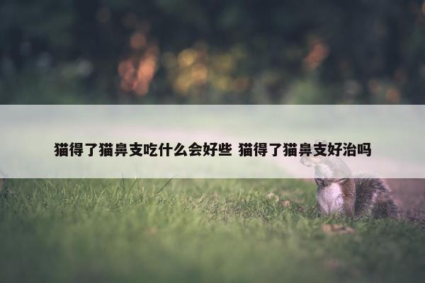 猫得了猫鼻支吃什么会好些 猫得了猫鼻支好治吗